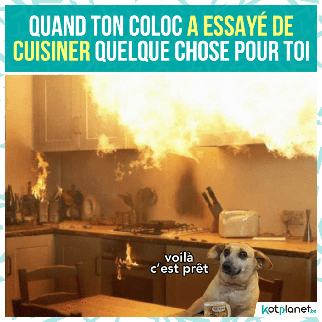 meme-coloc-essaye-cuisine