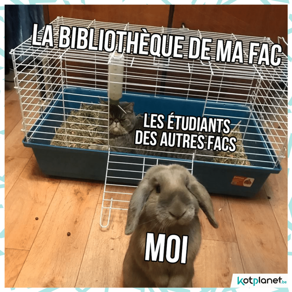 meme-etudiant-autres-facs