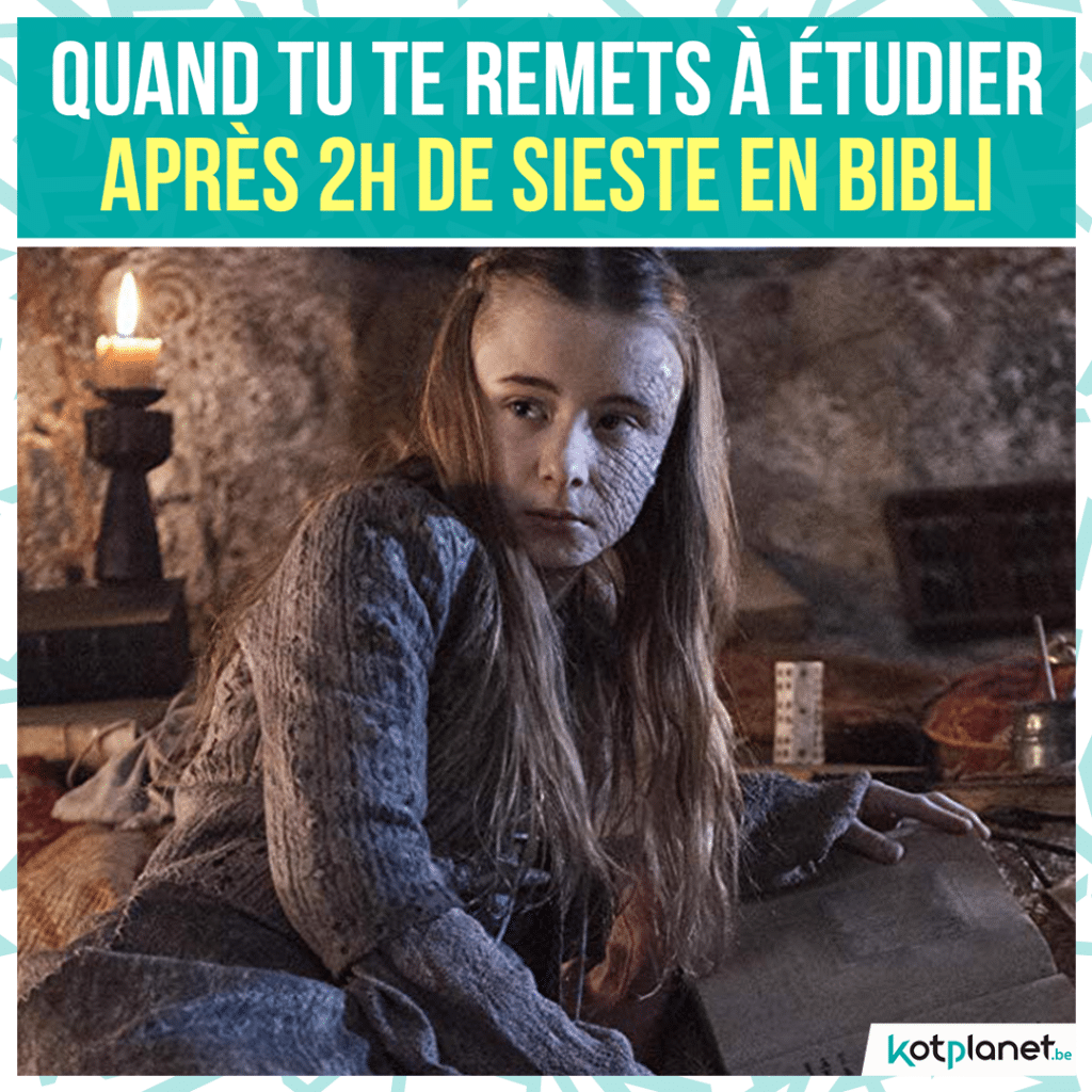 meme-remet-etudier-bibli-sieste