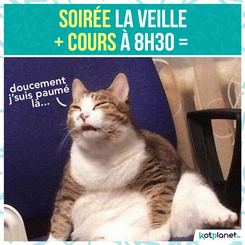 meme-soiree-cours-8h30