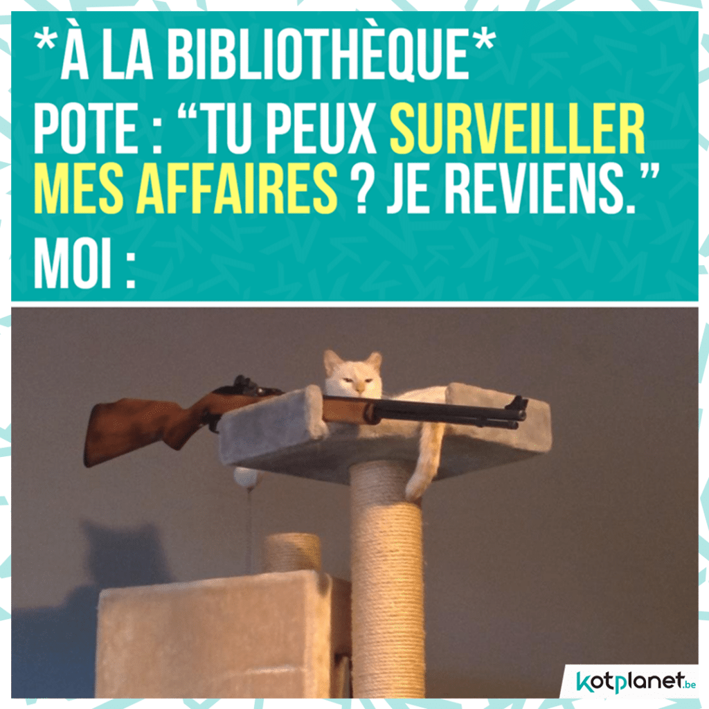 meme-surveiller-affaire-bibli