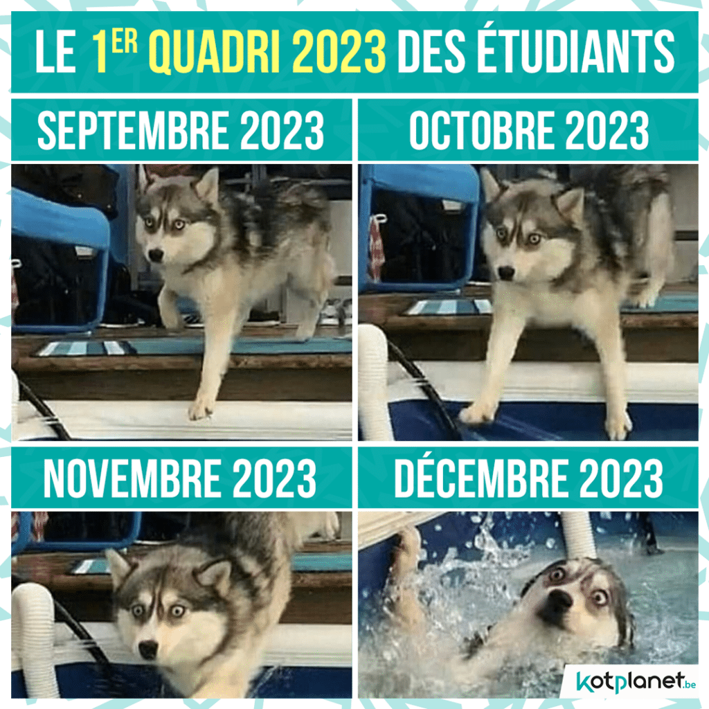 meme-1er-quadri