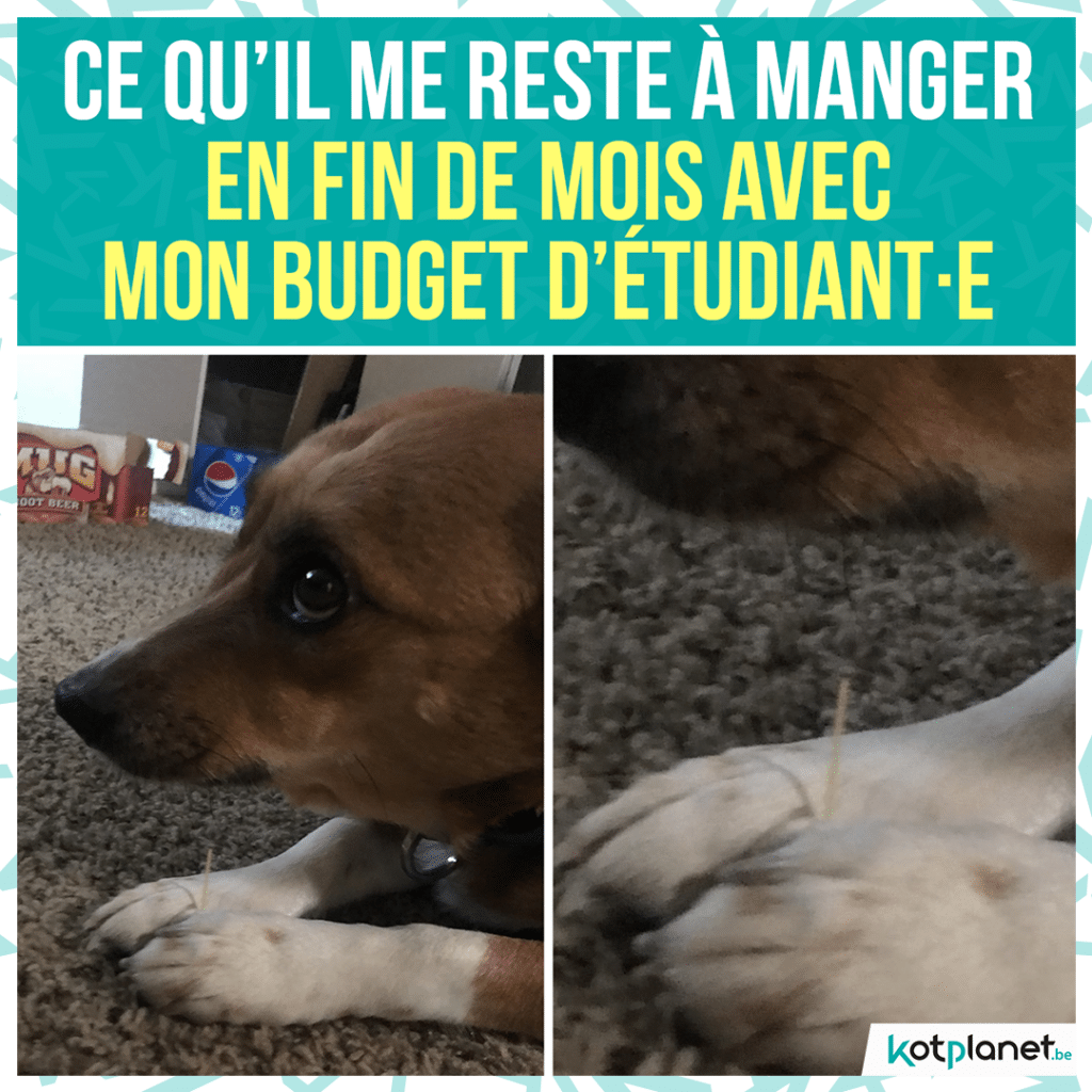 meme-budget-etudiant