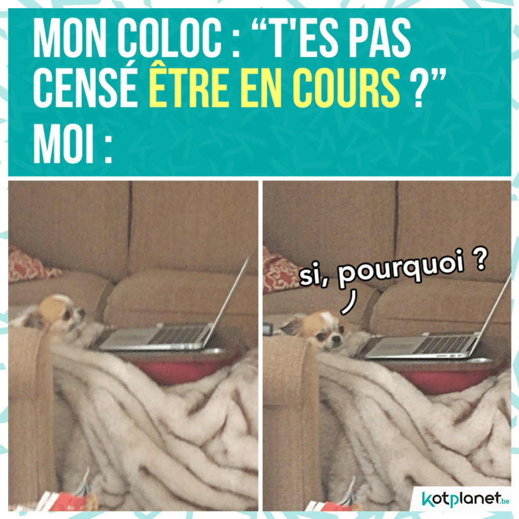 meme-coloc-cense-cours