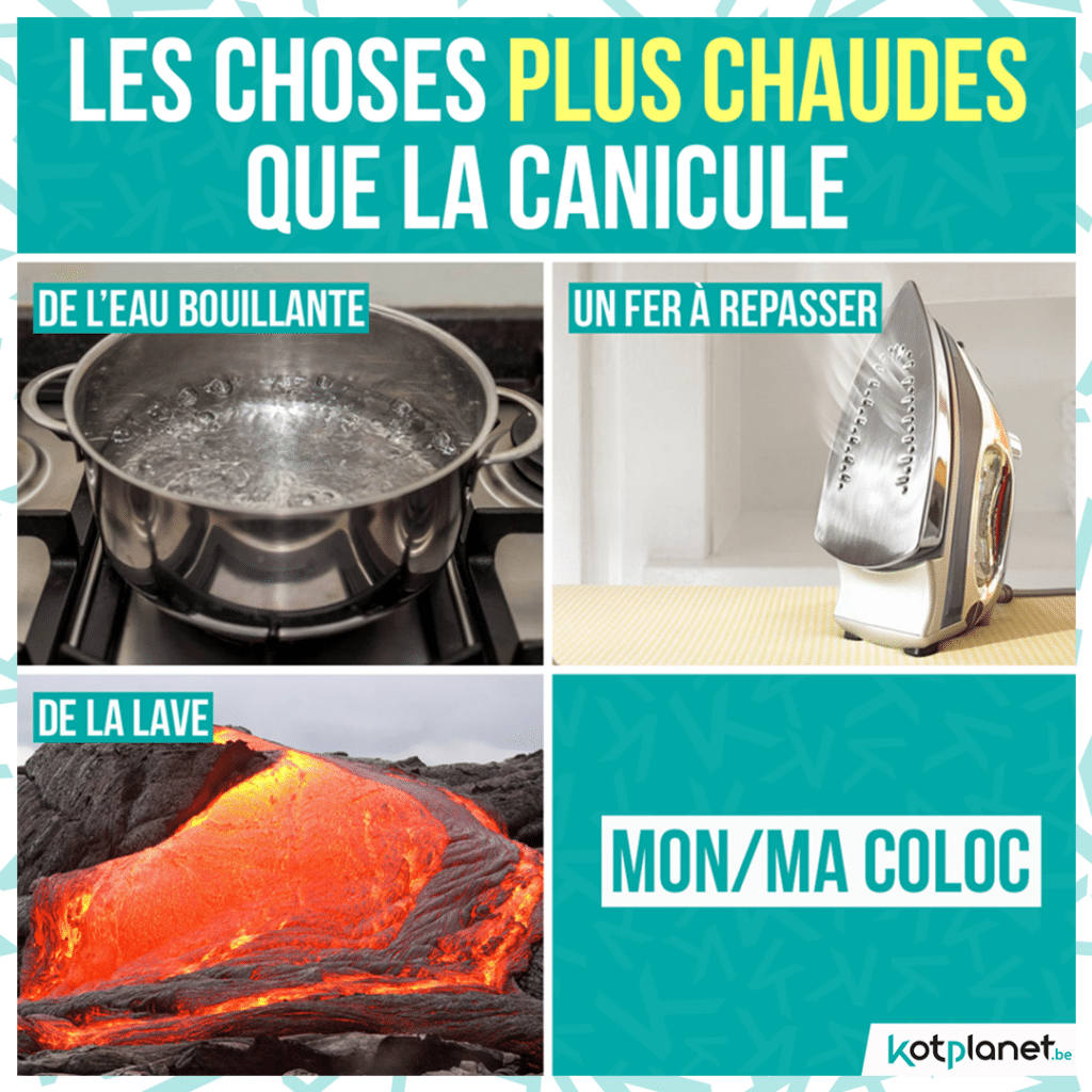 meme-coloc-chaud