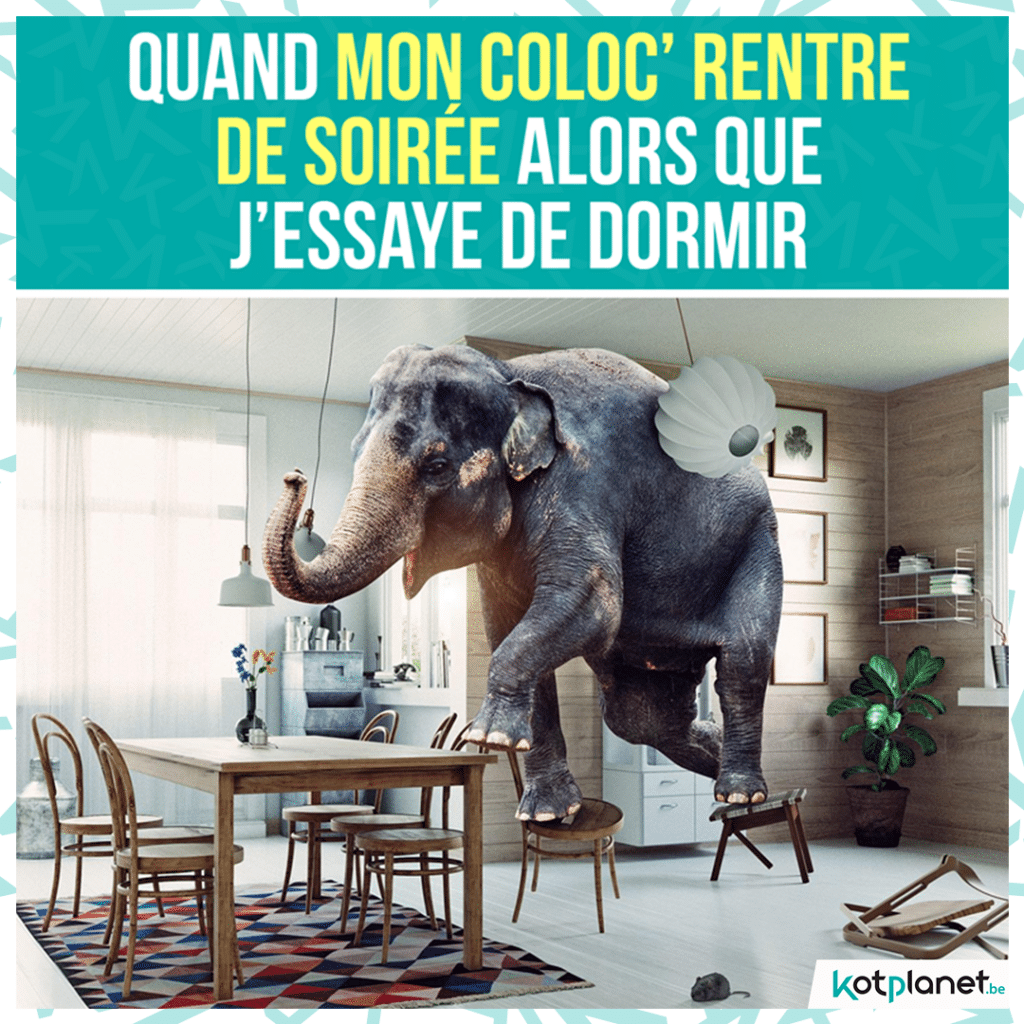 meme-coloc-elephant