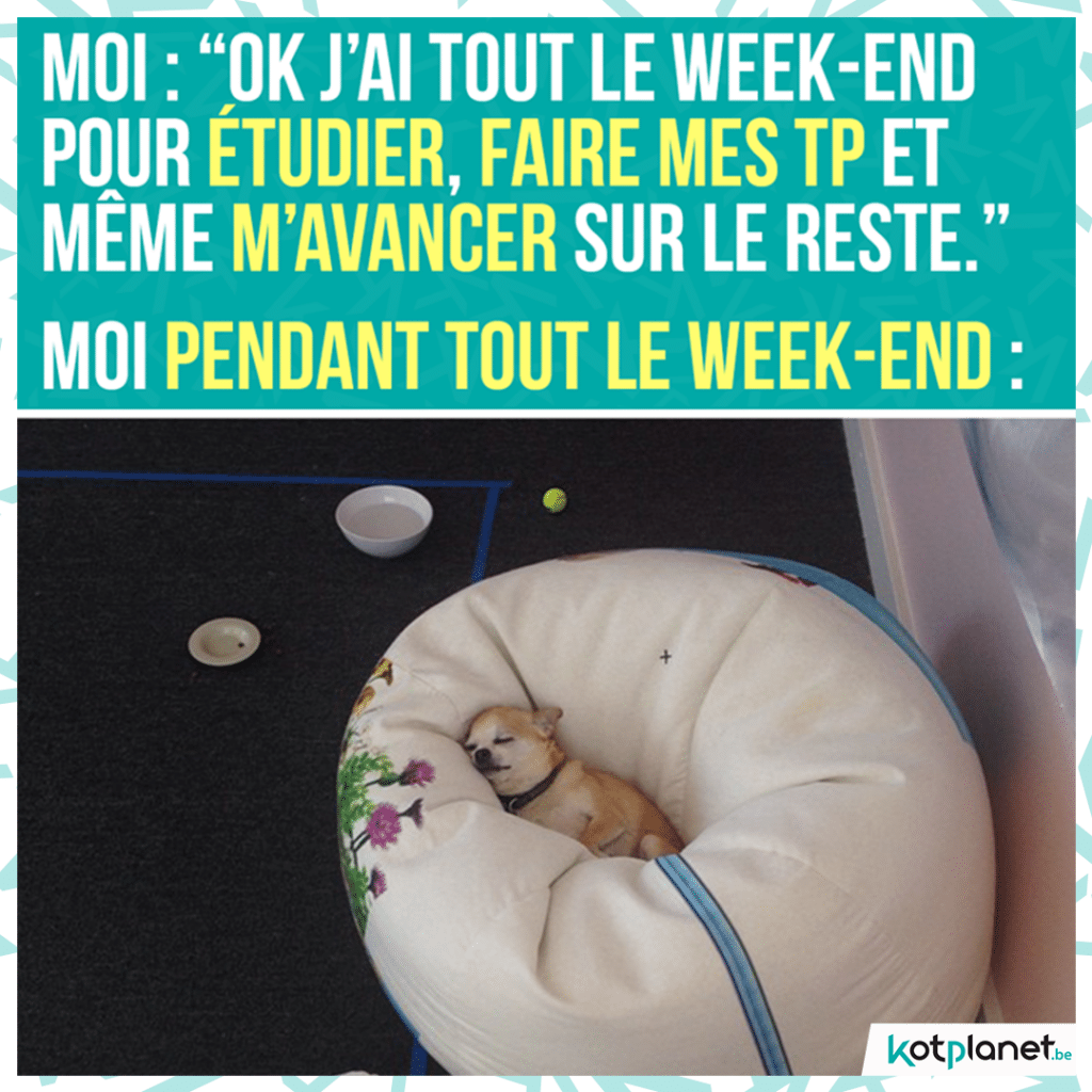 meme-moi-tout-week-end