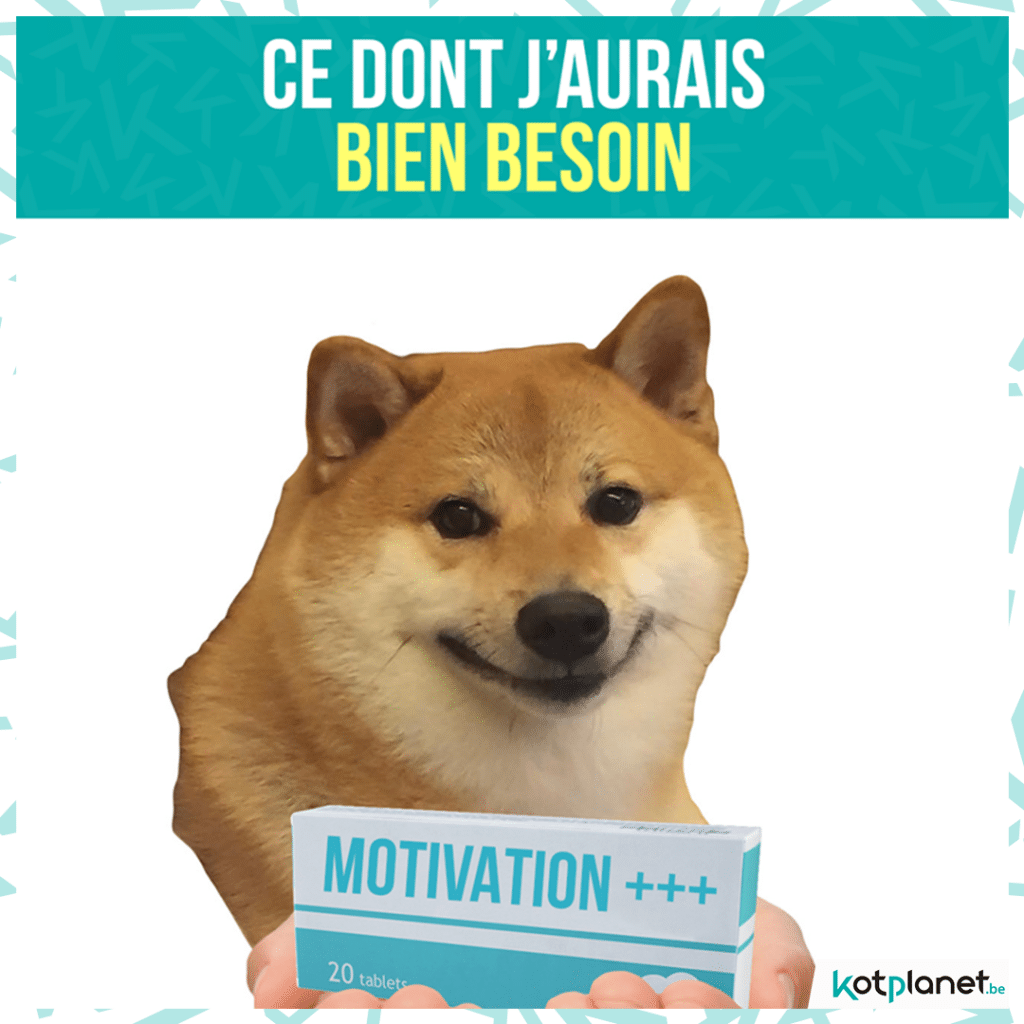 meme-motivation