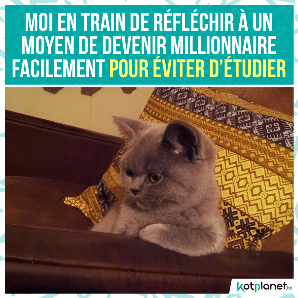 meme-reflechir-eviter-etudier