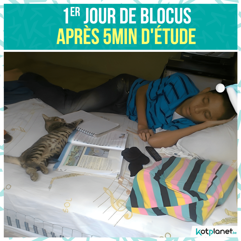 meme-1er-jour-blocus